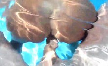 Fucking A Hot Chick In The Pool - Pov