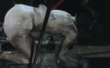 Extreme Freak BDSM Cleaning Humiliation!