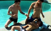 Boy Gay Big Cock Porn And Male To Anal Sex Pool Four-way!
